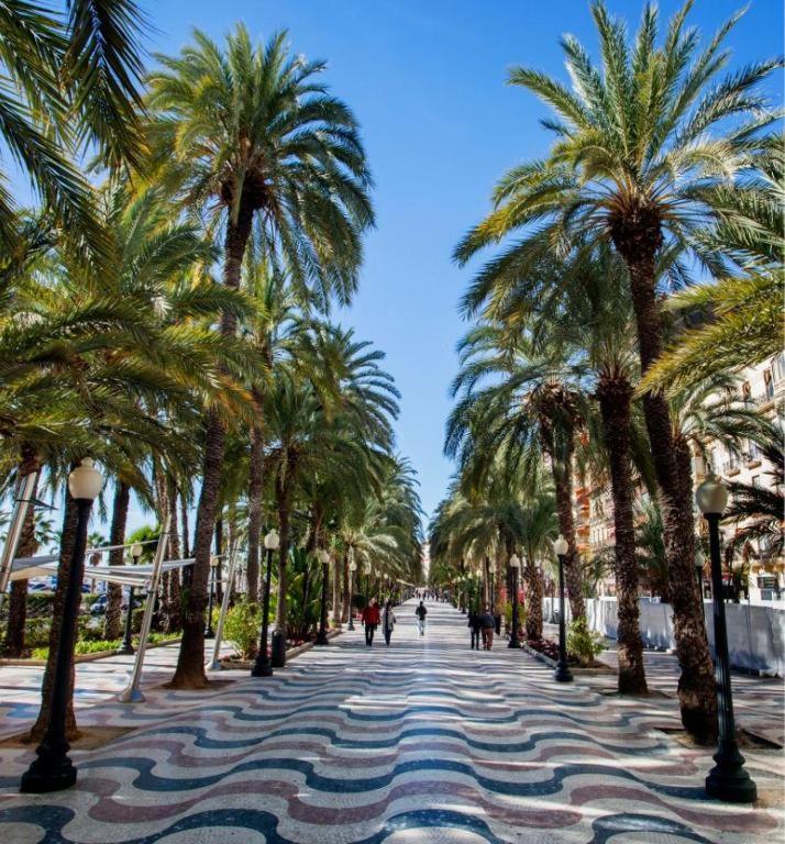 Magic Apartament - Alicante Dış mekan fotoğraf