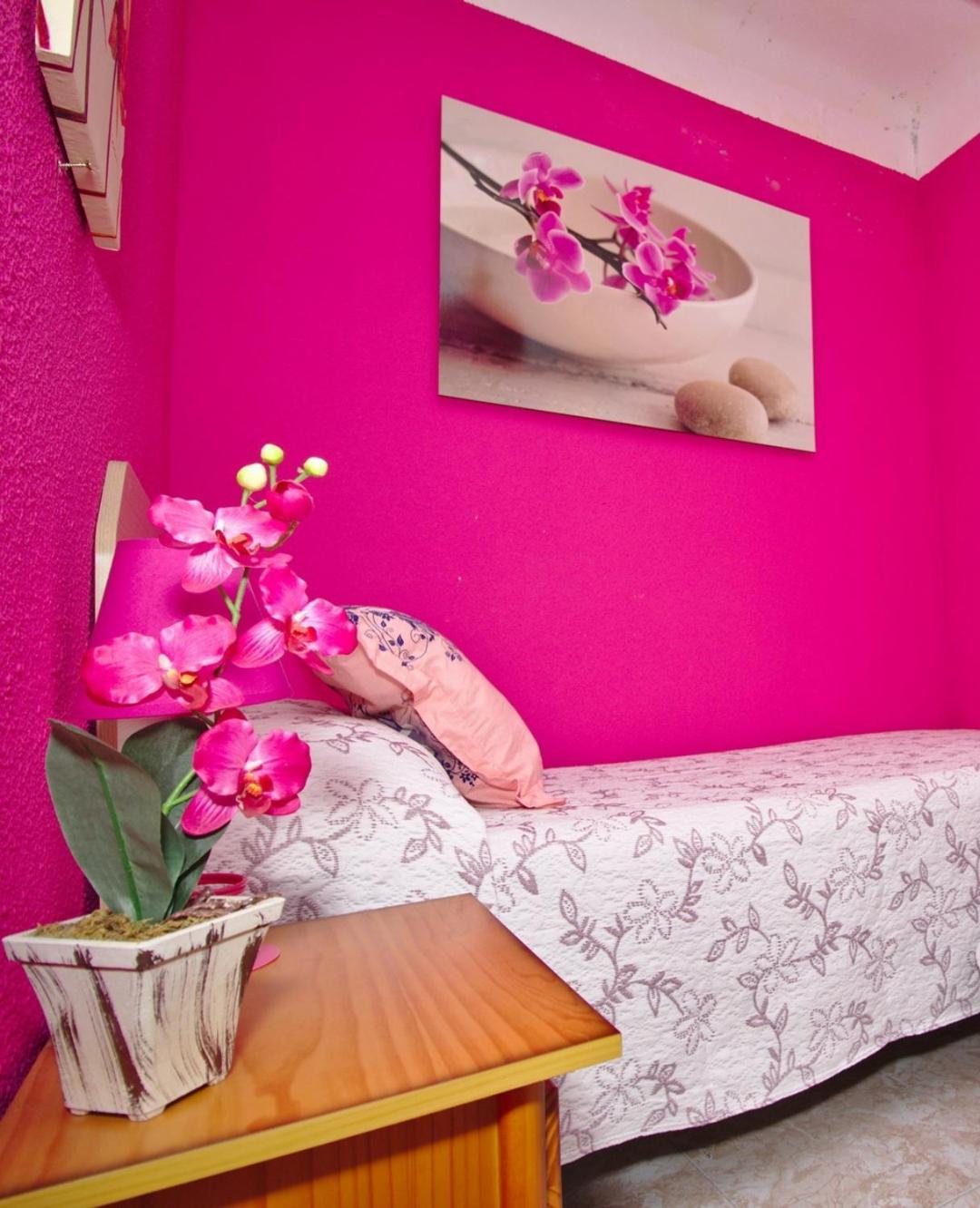 Magic Apartament - Alicante Dış mekan fotoğraf